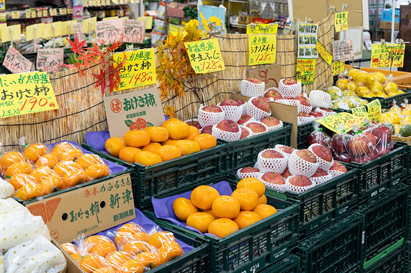 旬にあわせた食材の仕入れ